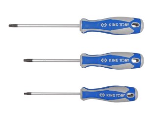 WKRĘTAK TORX Z OTWOREM T30 6.0*125