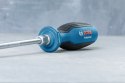 WKRĘTAK PŁASKI SL 6.5*125MM