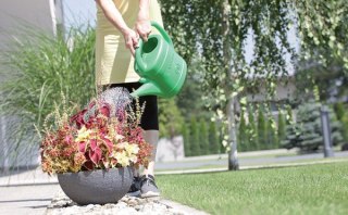 KONEWKA PLASTIKOWA 5L SPRING - ZIELONY