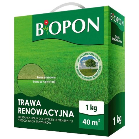 TRAWA RENOWACYJNA 1 KG