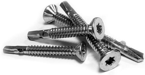 WKRĘT SAMOWIERTNY OCYNKOWANY TORX T20 4.8*32MM